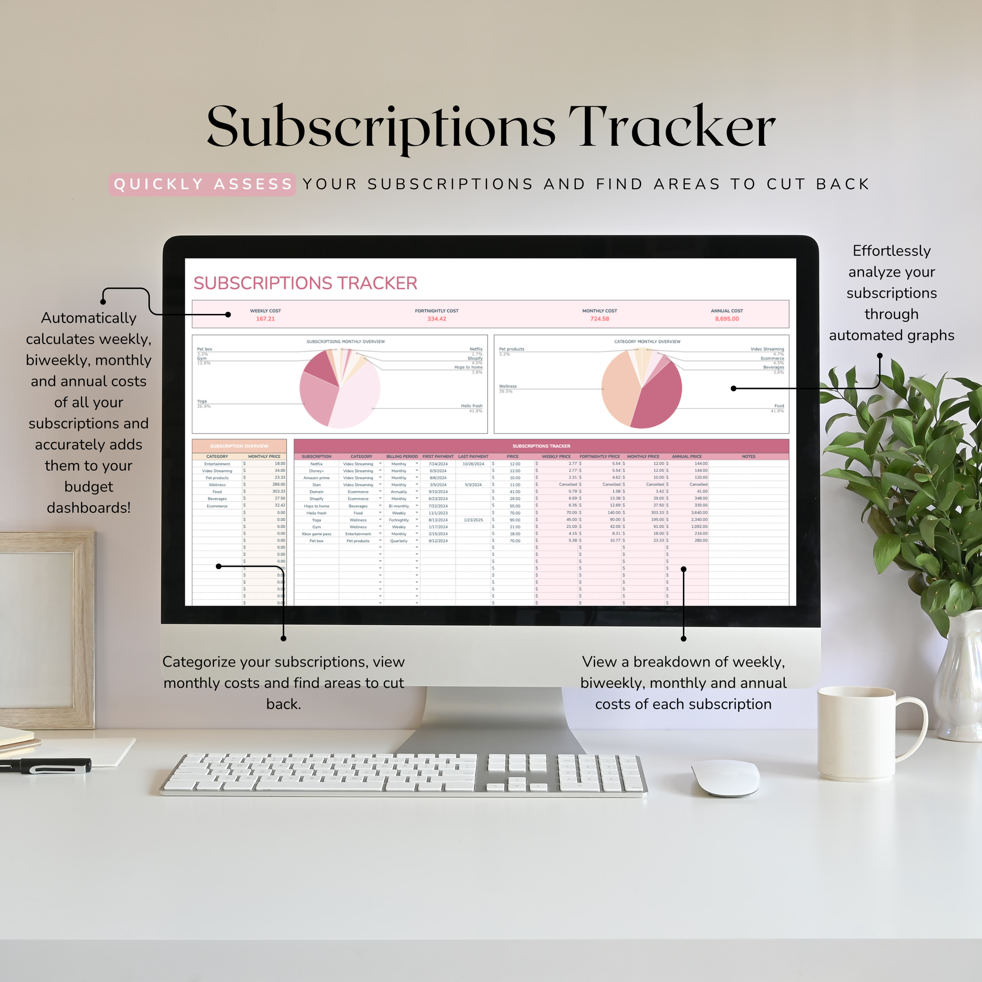 Computer monitor displaying a subscriptions tracker a part of a biweekly budget tracker with a desk setup and plant in the background