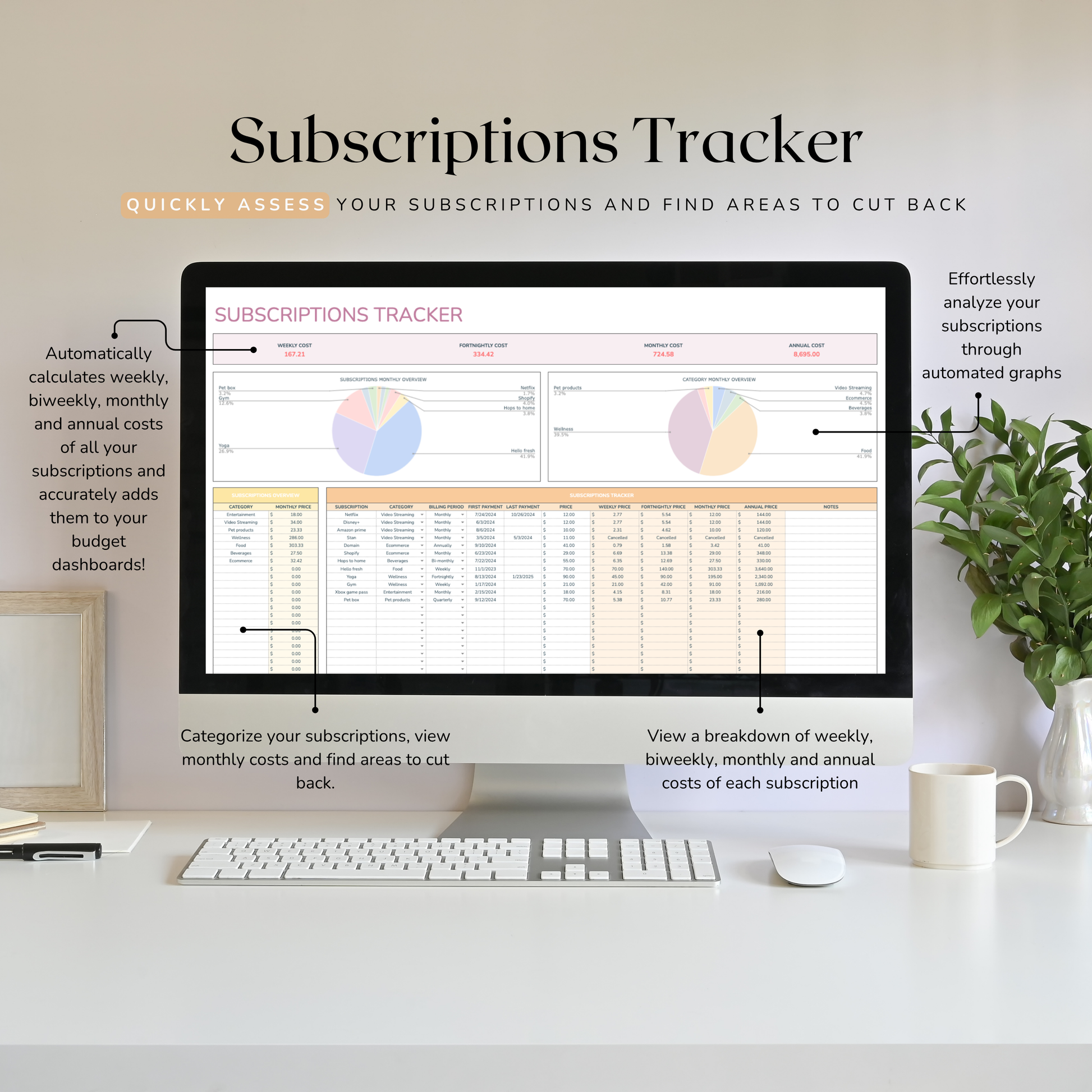 Computer monitor displaying a subscriptions tracker with a desk setup and plant in the background.