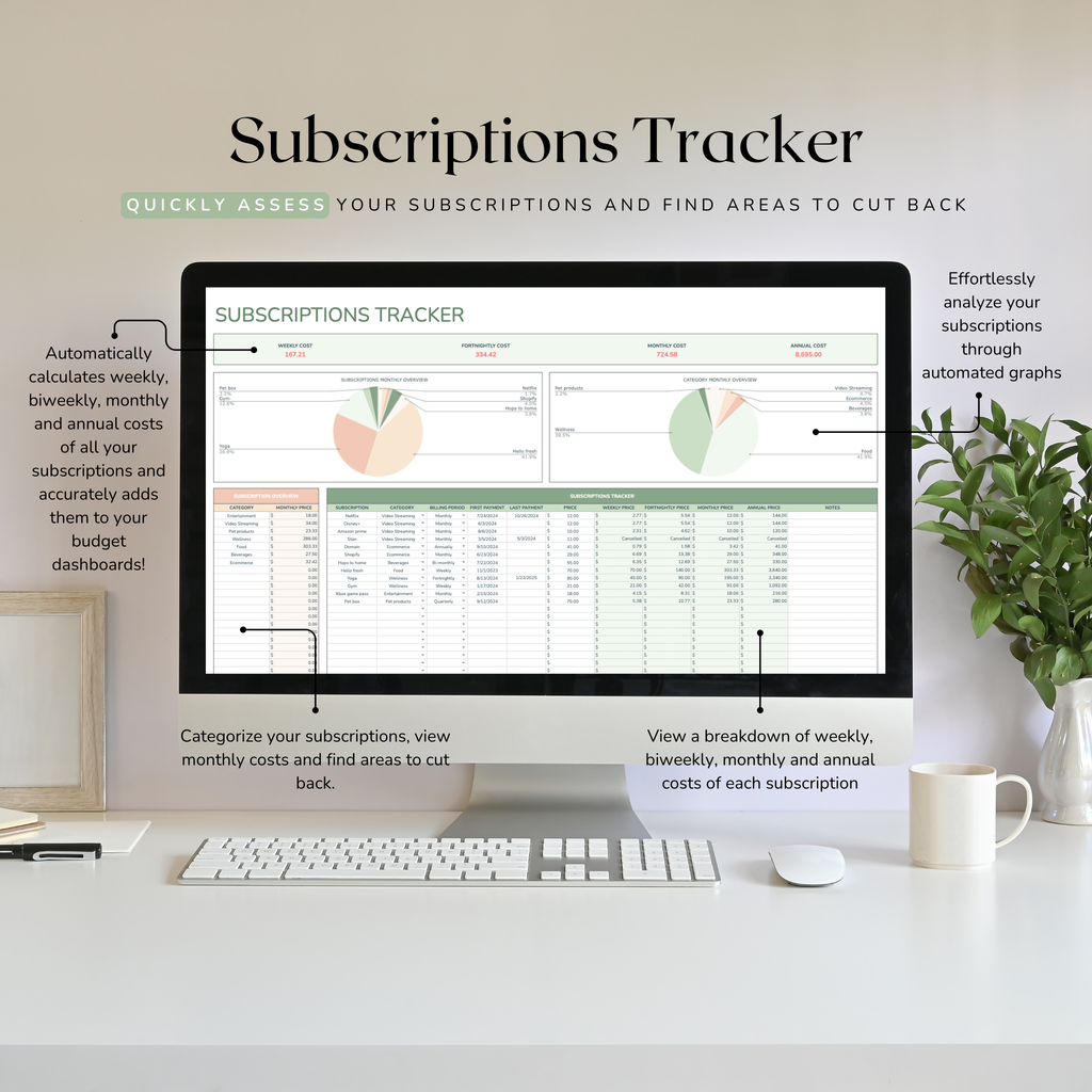 Computer monitor displaying a subscriptions tracker with a desk setup.