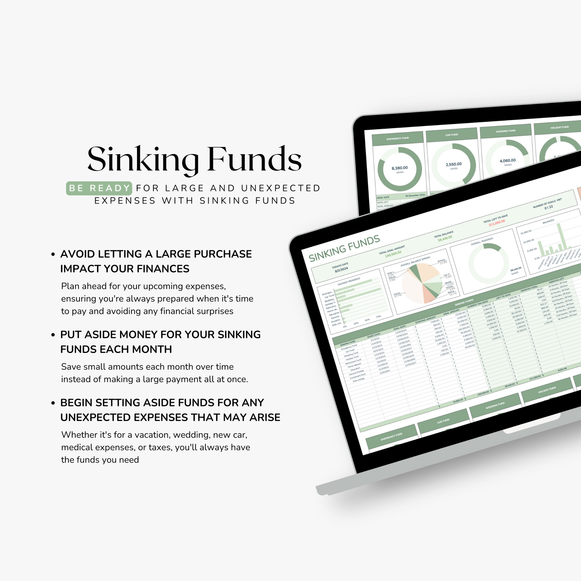Screen displaying financial planning software with text on sinking funds on a white background