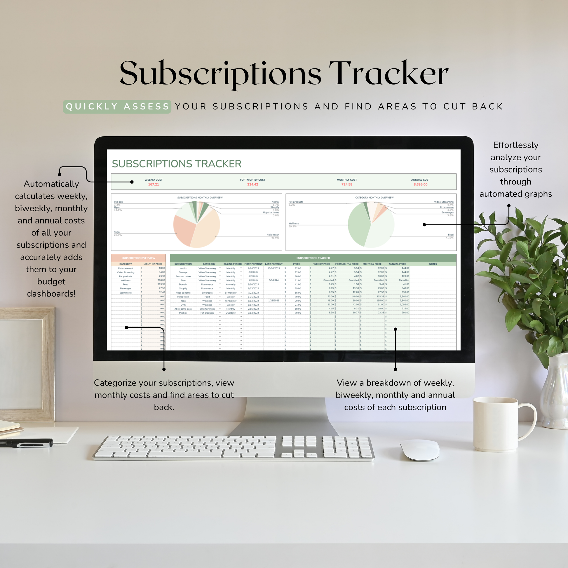 Computer monitor displaying a excel subscriptions tracker with a desk setup and plant in the background.